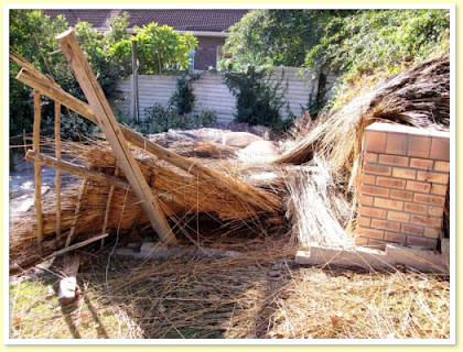 Thatch Disasters - don't let this happen to you!
